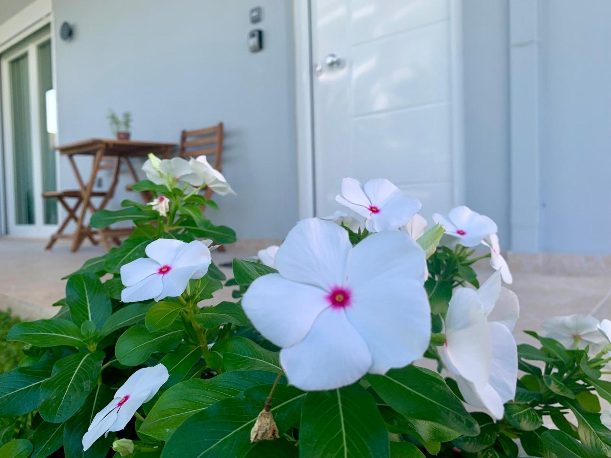 Modern Mint Sunny House Near The Airport Apartment Spata  Ngoại thất bức ảnh